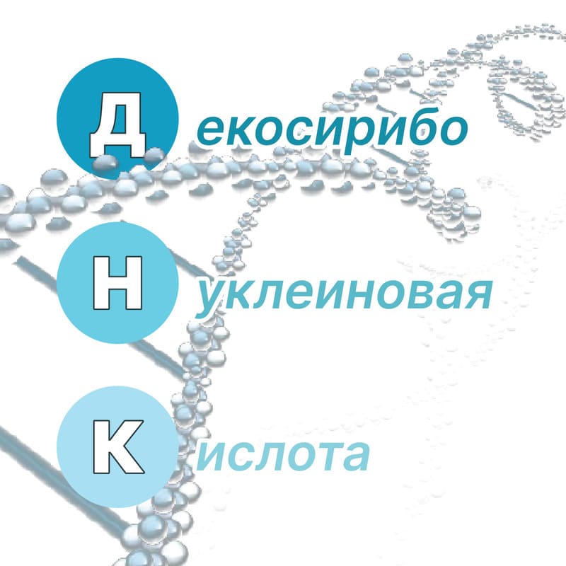 Сокращаем всё подряд: FISH, HOHAHA и другие интересные акронимы науки