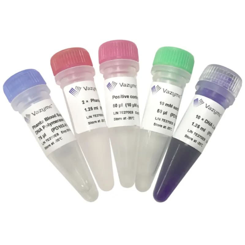 Набор Blood Direct PCR Kit V2 для прямой ПЦР из крови