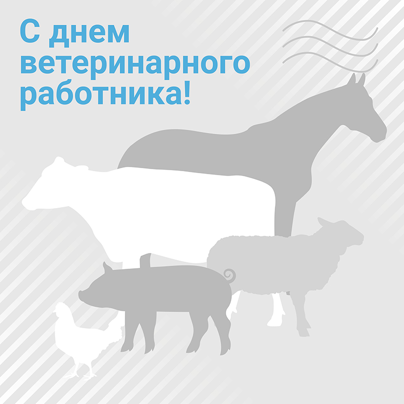 С днем ветеринарного работника 31 августа картинки. Картинки с днем ветеринарного работника с пожеланиями. Гигиена ветеринарных работников.