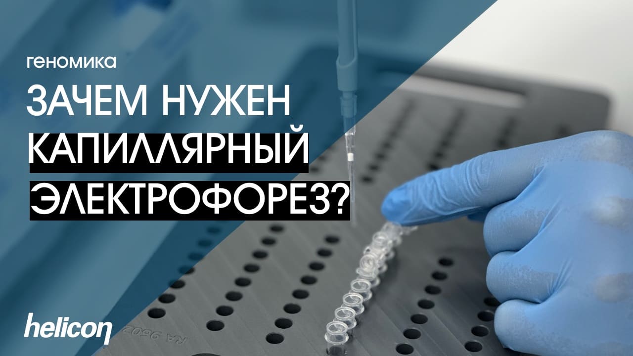Зачем нужен капиллярный электрофорез? | БАЗА #3