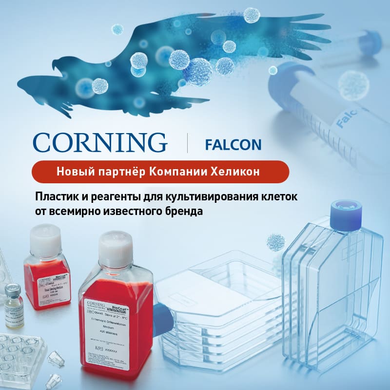 Продукция Corning и Falcon теперь в нашем портфолио!