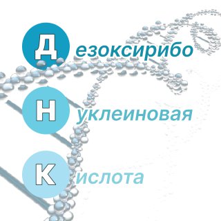 Сокращаем всё подряд: FISH, HOHAHA и другие интересные акронимы науки