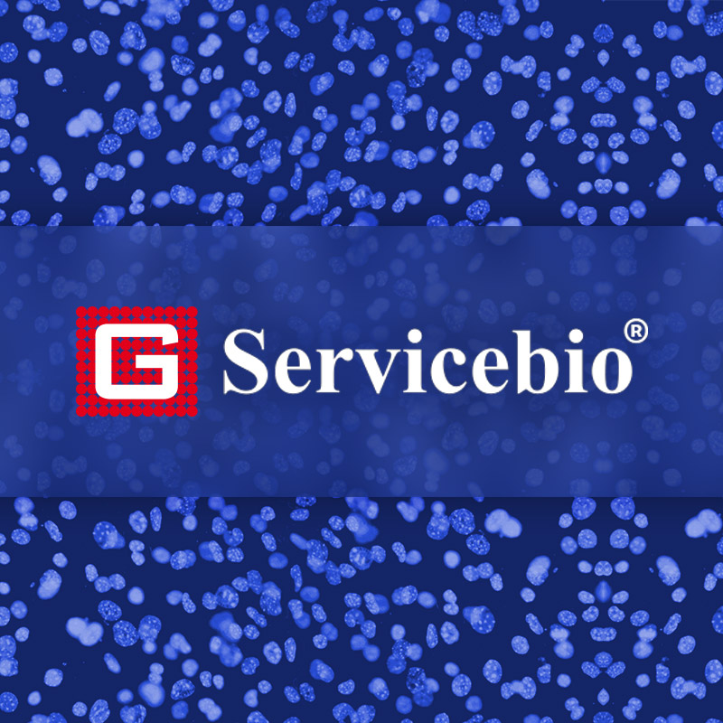 Servicebio