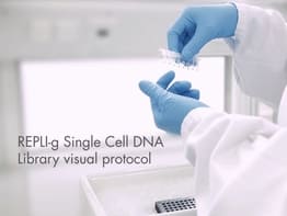 Создание ДНК-библиотеки из одной клетки