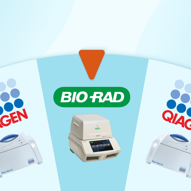 Амплификаторы с РУ на складе!