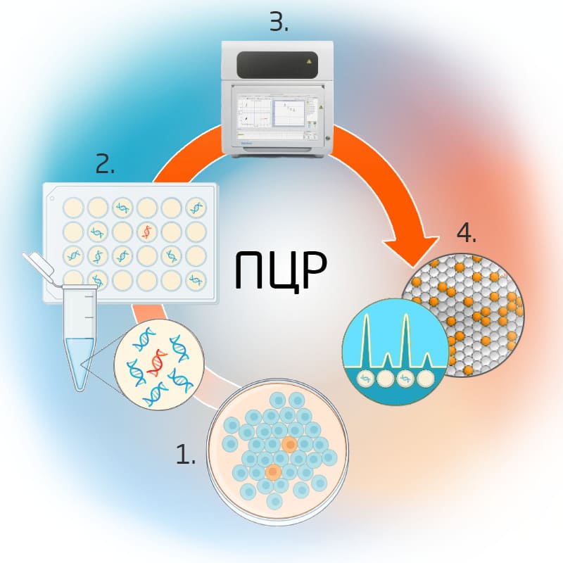ПЦР: новые решения и будущее известного метода