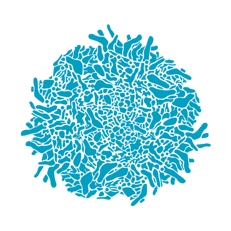 «Биосистемы: организация, поведение, управление»