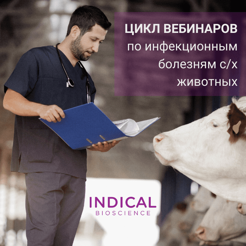 Цикл вебинаров от компании INDICAL BIOSCIENCE