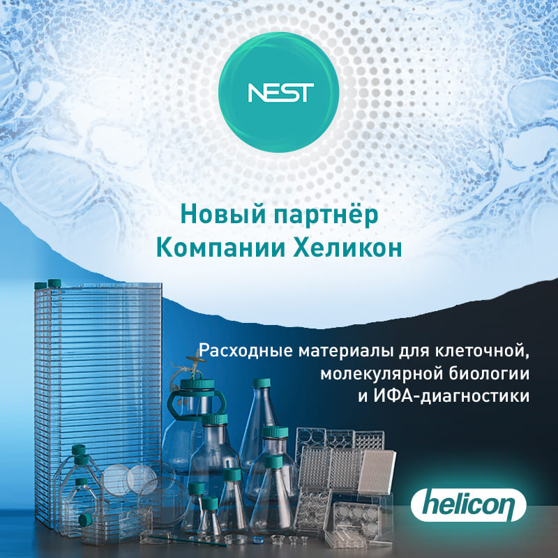 Nest – новый бренд в нашем портфолио