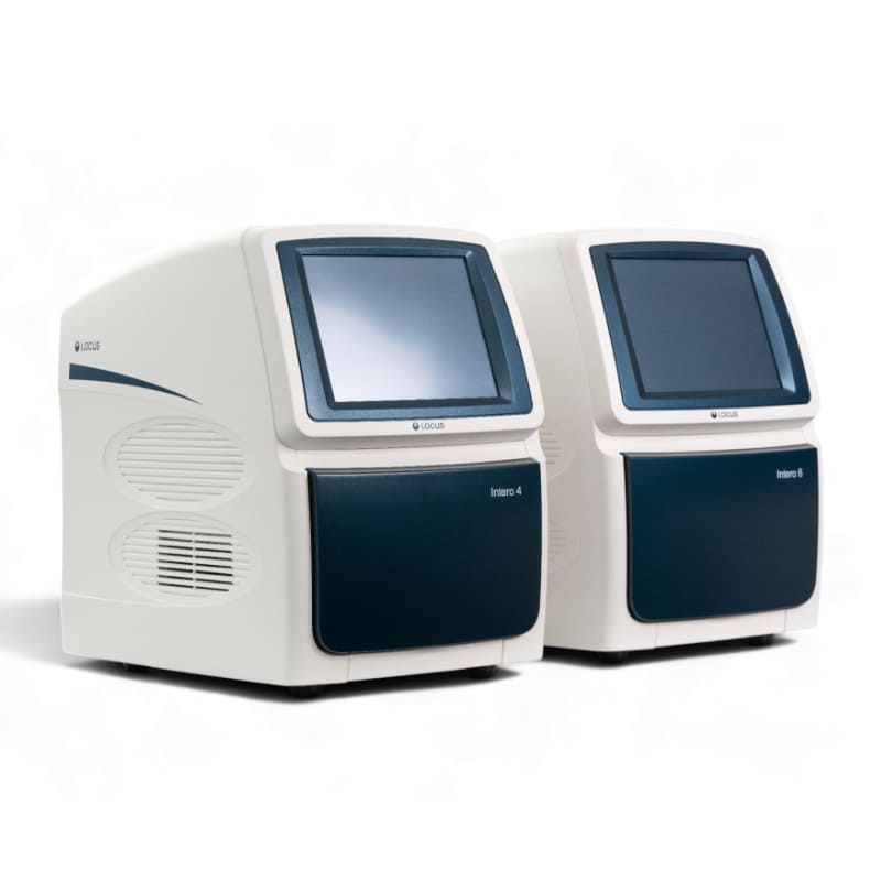 Амплификатор с детекцией в режиме реального времени LOCUS® Intero 4