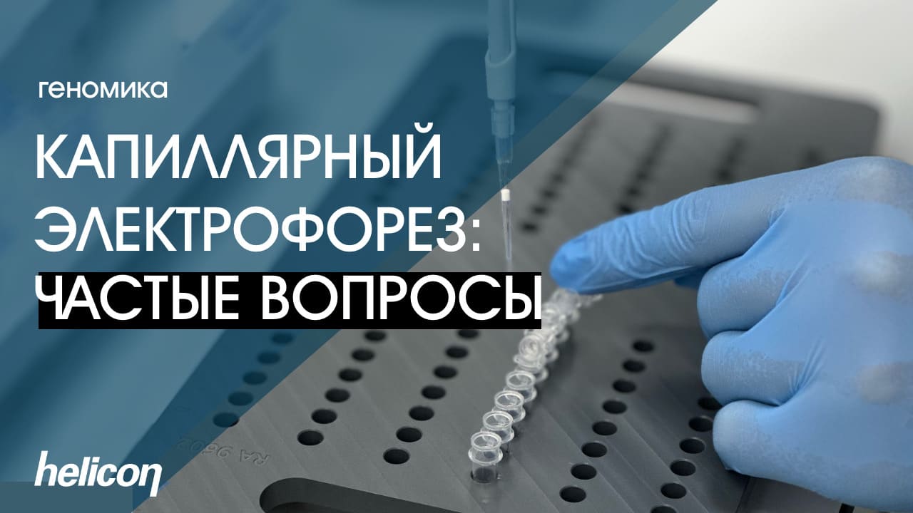 Капиллярный электрофорез: частые вопросы | БАЗА #6