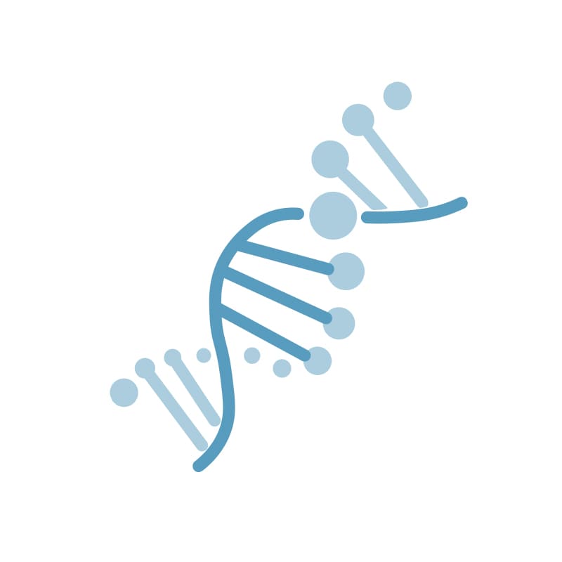 Вебинар «An Oasis in the Desert: Mapping the Immunogenic Effects of Novel Treatment Strategies in Pancreatic Cancer with Stereo-seq OMNI»