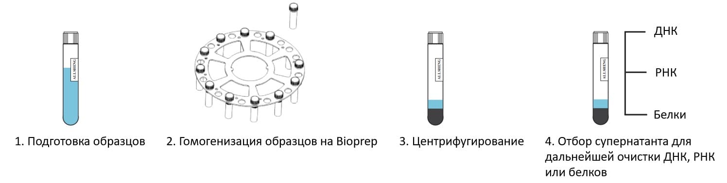 Гомогенизатор лабораторный bioprep 24 на 24 образца