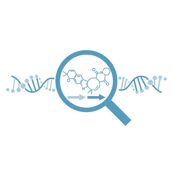 «Генетические технологии в исследованиях природных соединений»