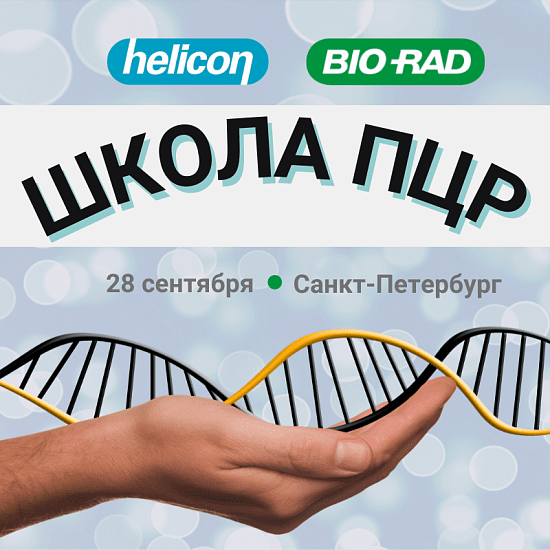 Школа ПЦР. Санкт-Петербург