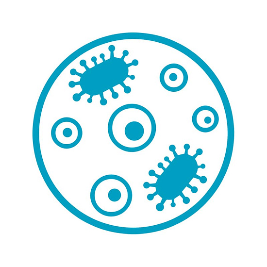 Актуальные проблемы микобактериальных инфекций