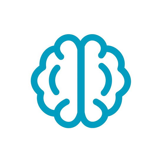 «Фундаментальные науки в нейрохирургии»