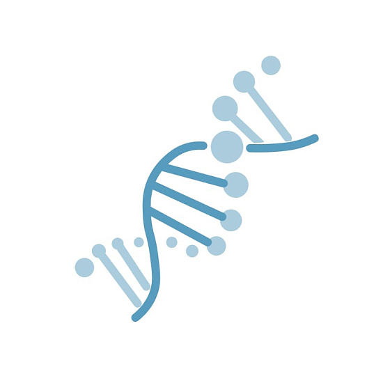 Вебинар «Cell Type Annotation for Large-Scale Spatial Omics: Algorithms and Performance on Stereo-seq»