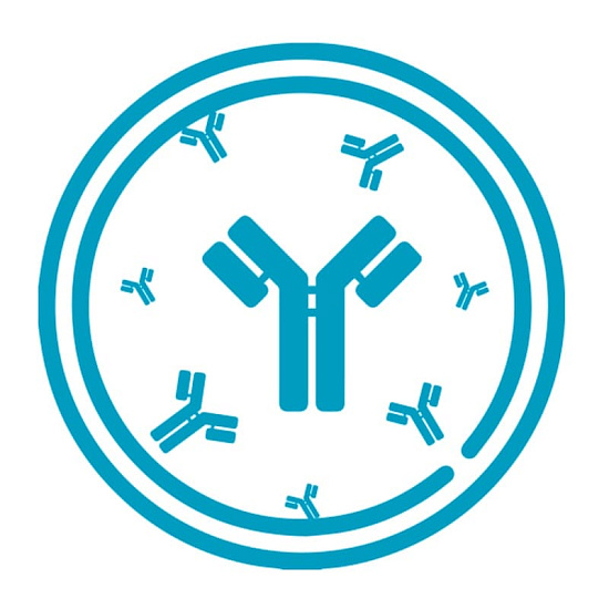 Вебинар «Хроматографическая очистка антител: решения компании Smart-Lifesciences»